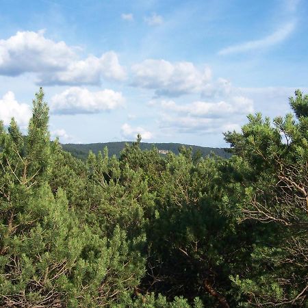 Ferienwohnung Am Pfaffenfels Schonau  Luaran gambar
