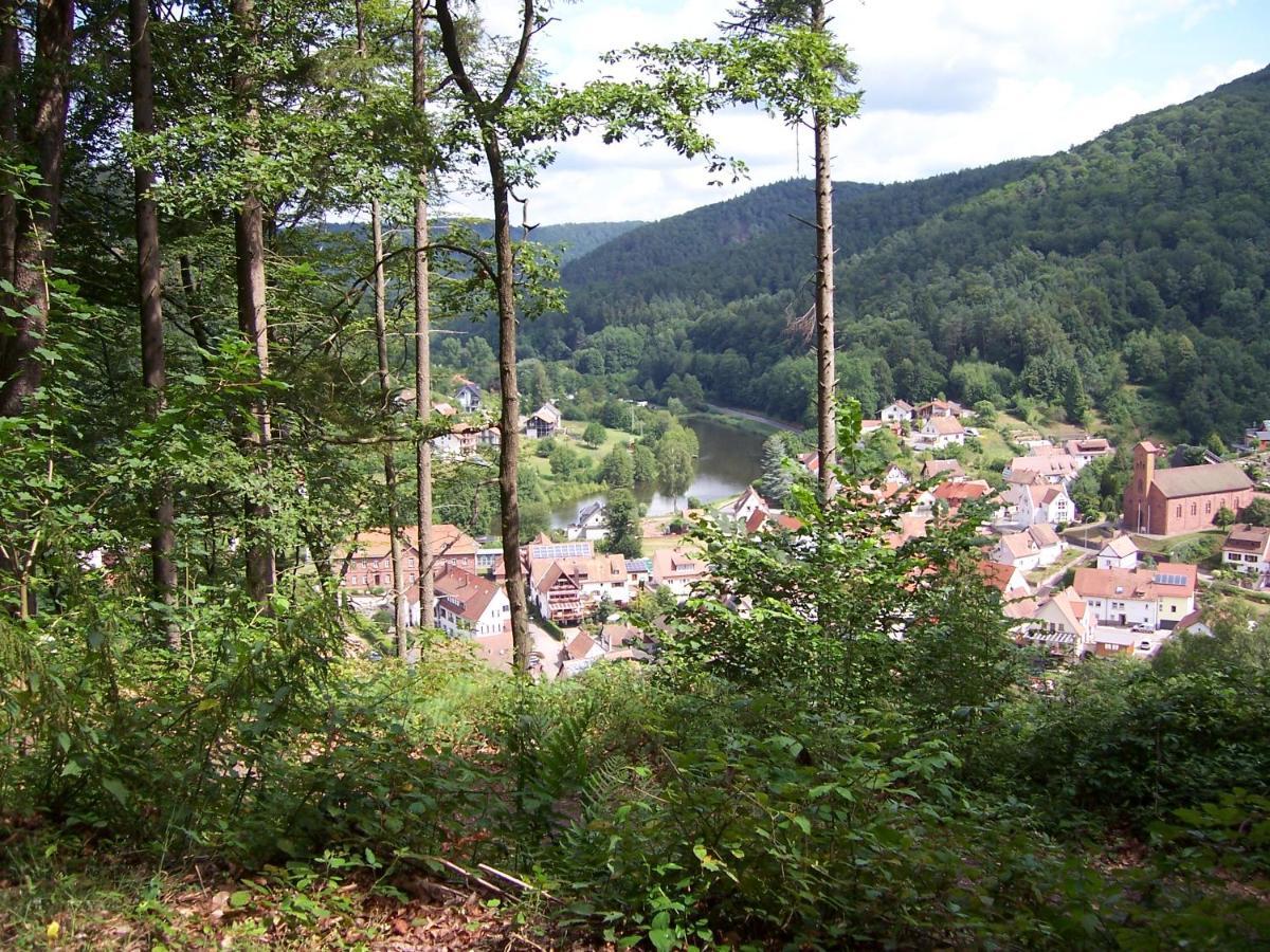 Ferienwohnung Am Pfaffenfels Schonau  Luaran gambar