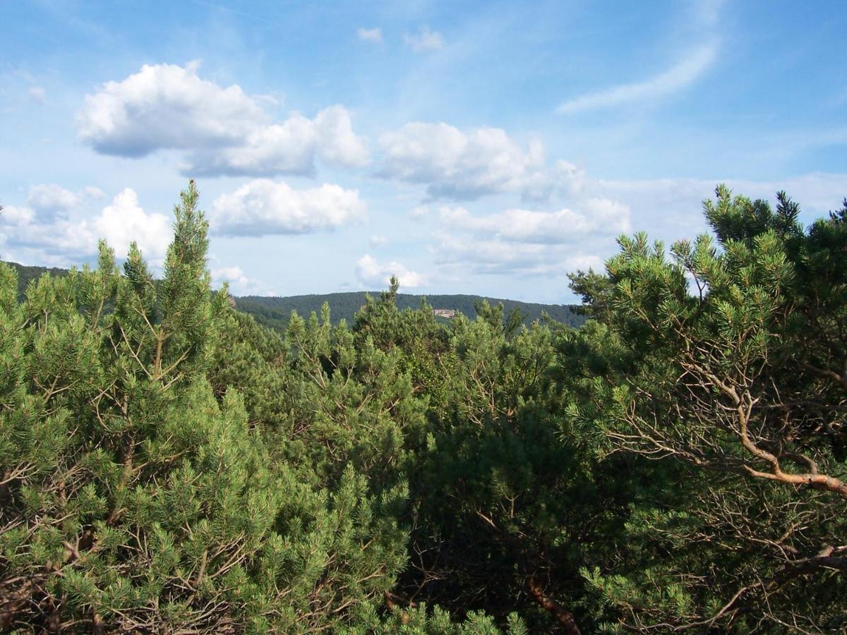 Ferienwohnung Am Pfaffenfels Schonau  Luaran gambar